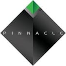 pinnacle-consultation