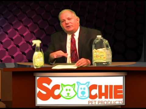 Taking the Pet Industry by Storm: Scoochie Pets